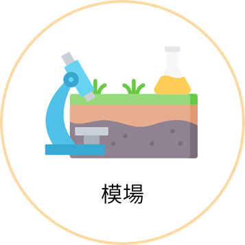 圖示:模場