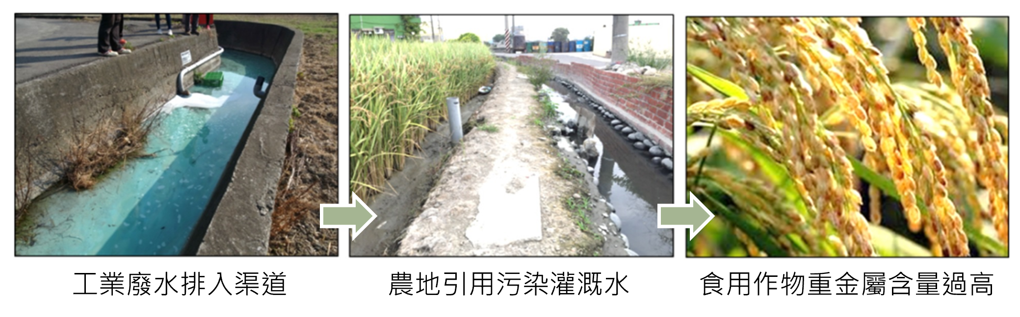 污染途徑示意圖