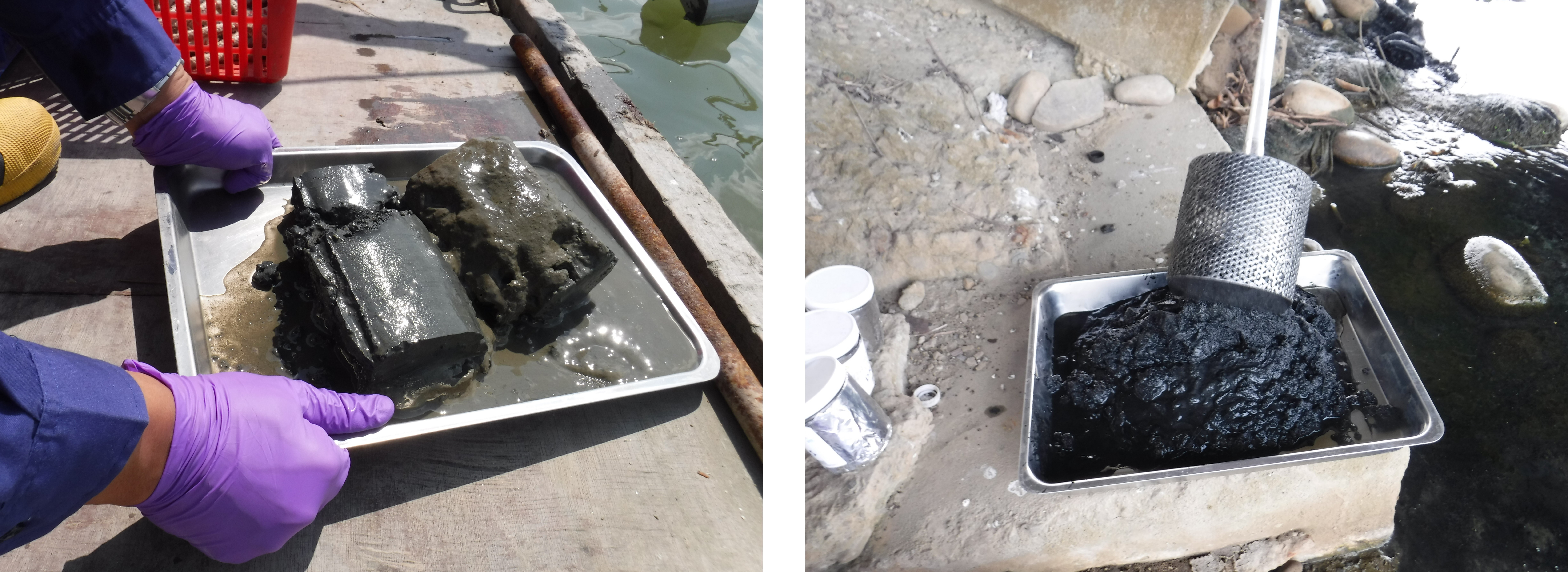 底泥樣態與外觀