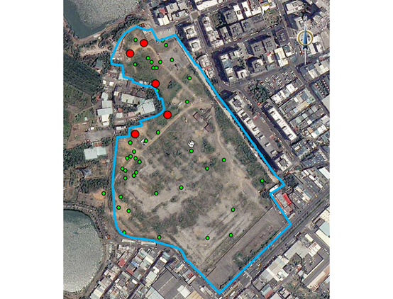 109年6月 5口VC超標