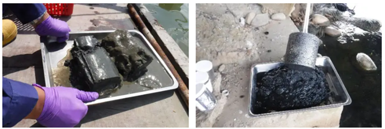 Sediment conditions and appearance in reservoirs and rivers (1): Sediment conditions and appearance in reservoirs./(2): Sediment conditions and appearance in rivers.
