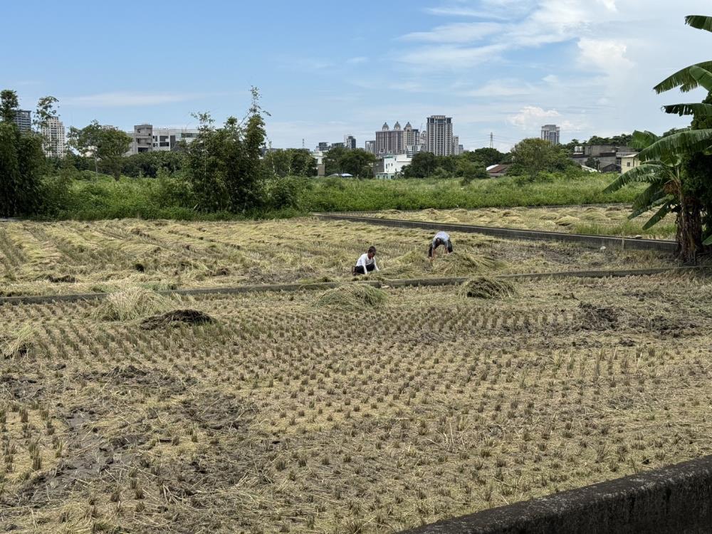 環境部7月31日協助環保局辦理作物剷除作業